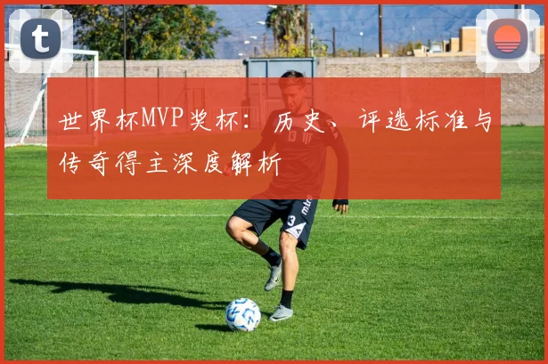 世界杯MVP奖杯:历史、评选标准与传奇得主深度解析