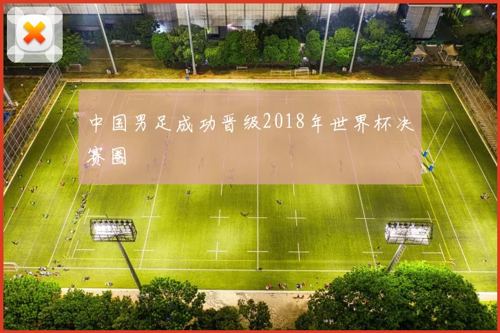 中国男足成功晋级2018年世界杯决赛圈