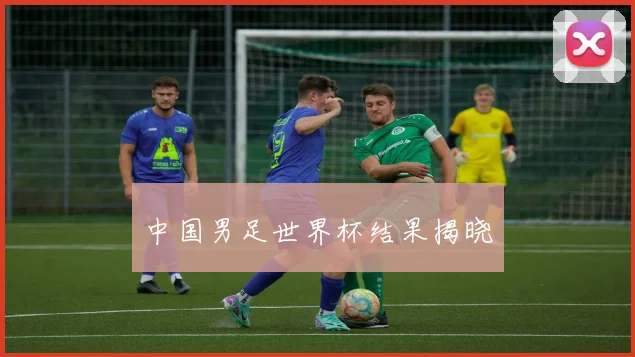 中国男足世界杯结果揭晓